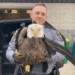 Pennsylvania State troopers save injured bald eagle – Law Officer